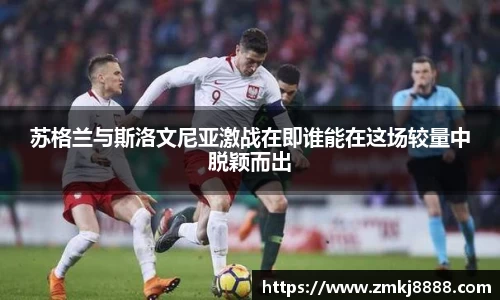 易彩堂官网