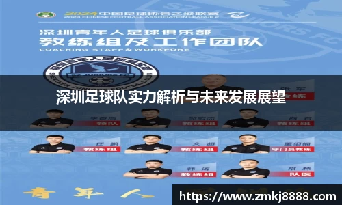 深圳足球队实力解析与未来发展展望